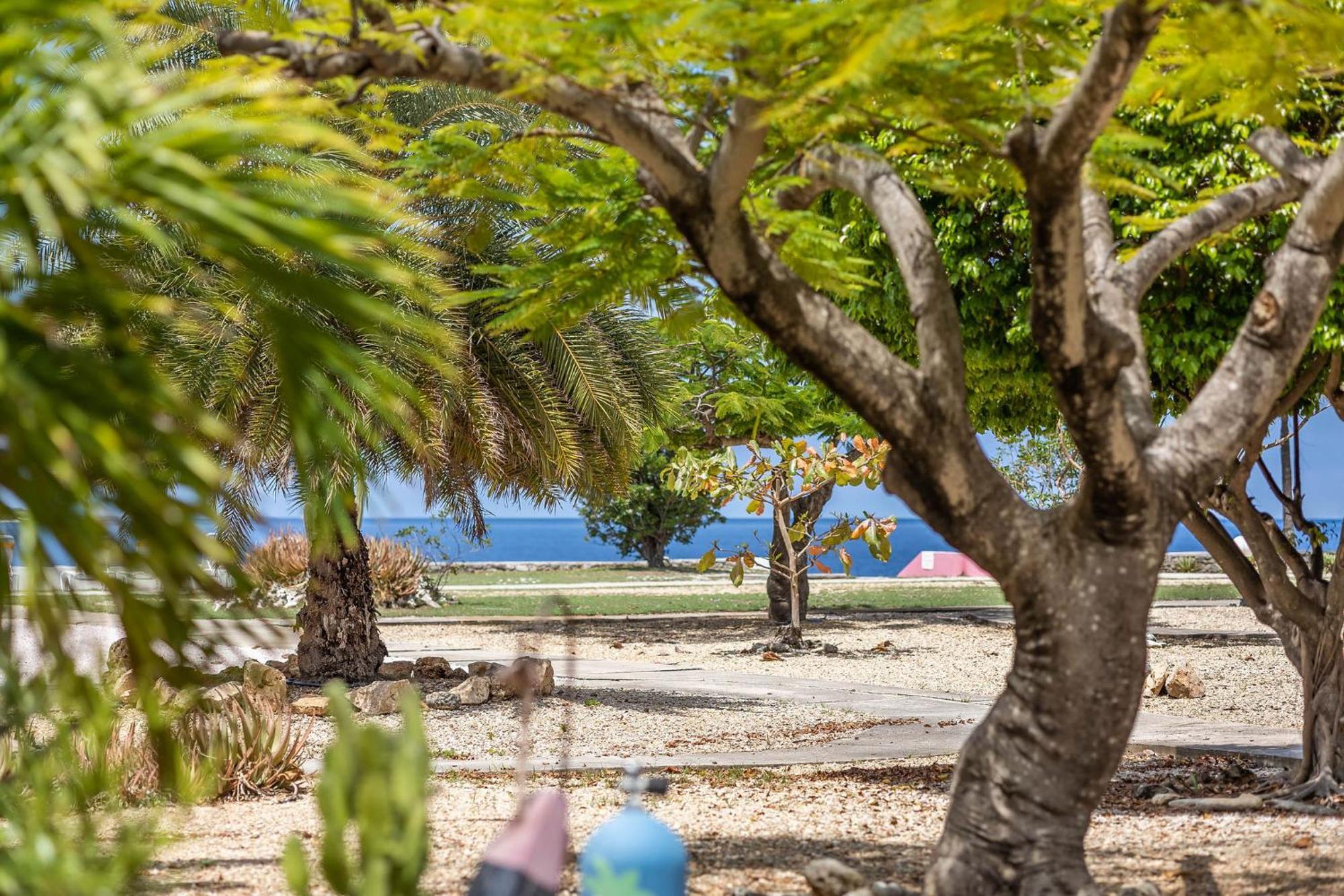 Sand Dollar Bonaire Kralendijk  Exterior photo