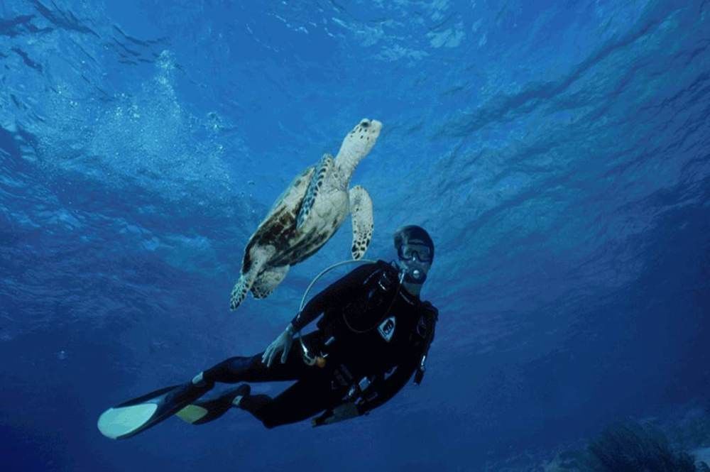Sand Dollar Bonaire Kralendijk  Exterior photo