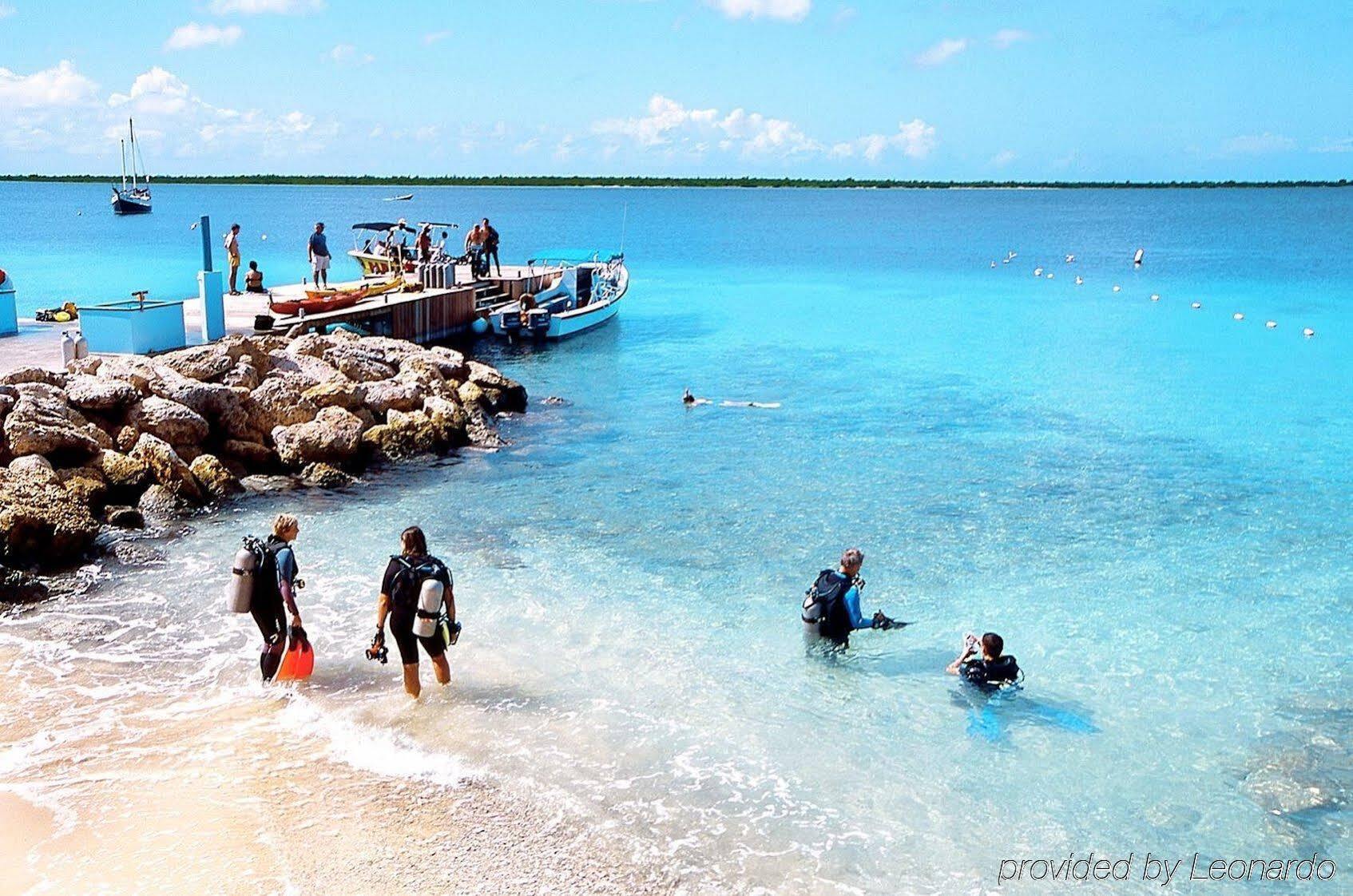 Sand Dollar Bonaire Kralendijk  Exterior photo